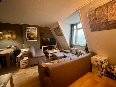 Room for rent with double bed Nijmegen