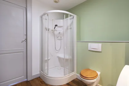 Apartamento inteiro em Rue des Dominicains 10, imagem 9 de 17