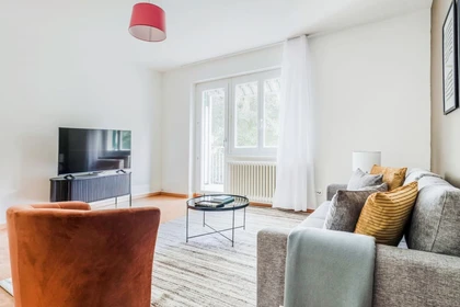 Apartamento entero totalmente amueblado  en Zurich