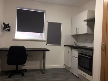 Estúdio em residência em 120 Regent Rd, Leicester LE1 7LT, United Kingdom, imagem 18 de 29