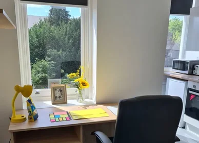 Estúdio em residência em 120 Regent Rd, Leicester LE1 7LT, United Kingdom, imagem 13 de 30