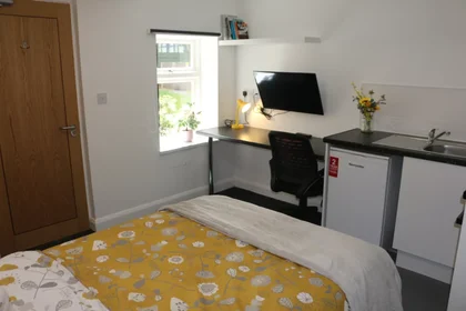 Estúdio em residência em 120 Regent Rd, Leicester LE1 7LT, United Kingdom, imagem 16 de 30