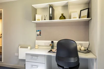 Chambre privée en résidence à 160 Corporation St, Preston PR1 2UQ, United Kingdom    , image 11 de 42