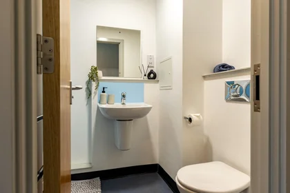 Chambre privée en résidence à 160 Corporation St, Preston PR1 2UQ, United Kingdom    , image 17 de 42