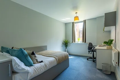 Chambre privée en résidence à 160 Corporation St, Preston PR1 2UQ, United Kingdom    , image 21 de 42