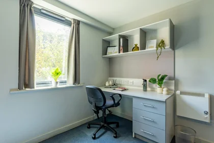 Chambre privée en résidence à 160 Corporation St, Preston PR1 2UQ, United Kingdom    , image 30 de 42