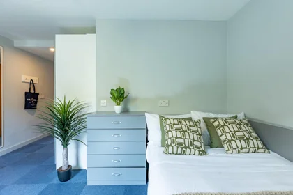 Chambre privée en résidence à 160 Corporation St, Preston PR1 2UQ, United Kingdom    , image 31 de 42