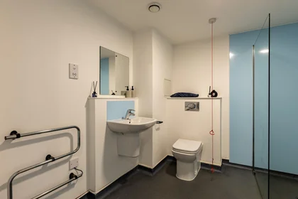 Chambre privée en résidence à 160 Corporation St, Preston PR1 2UQ, United Kingdom    , image 40 de 42