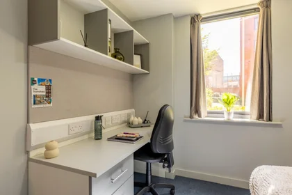 Chambre privée en résidence à 160 Corporation St, Preston PR1 2UQ, United Kingdom    , image 8 de 42