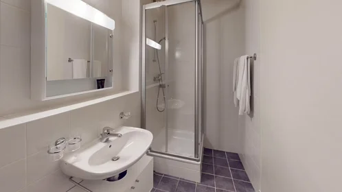 Appartamento intero in Rue Goetz-Monin, Plainpalais, immagine 9 di 10