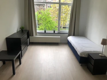 Room for rent in a shared flat in Rotterdam