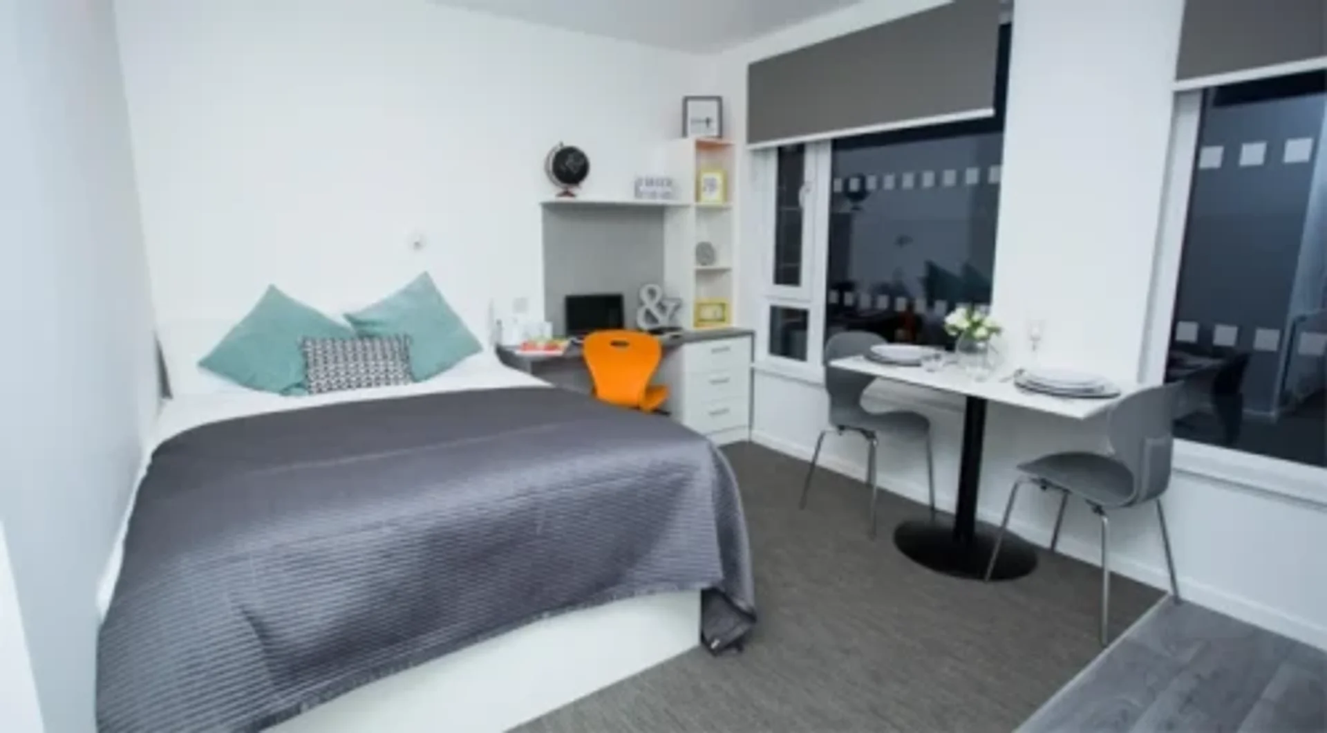 Affordable room for students with ample lighting in 