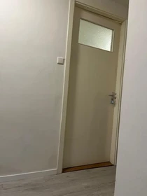 Room for rent in a shared flat in Nijmegen