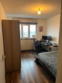 Zimmer zur Miete in einer WG in Rotterdam