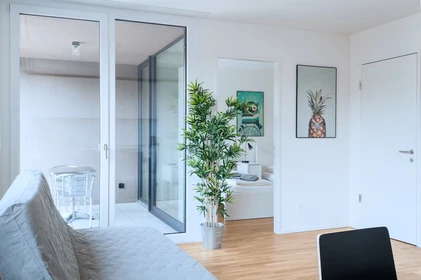 Modern and bright flat in Basel