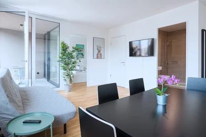 Basel de tamamen mobilyalı daire