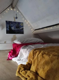 Room for rent in a shared flat in Nijmegen