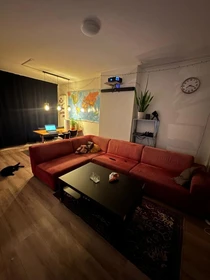 Alquiler de habitaciones por meses en Amsterdam