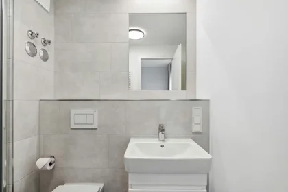 Privatzimmer in der Berliner Straße, Mitte, bild 6 von 8
