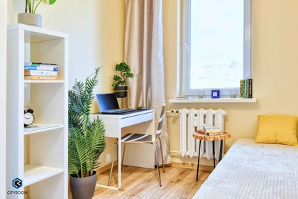 Helles Privatzimmer in Poznan