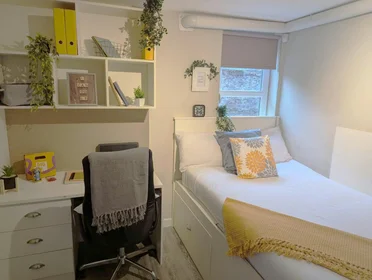 Chambre privée à 25 Roseangle, Dundee, DD1 4LS, image 23 de 32