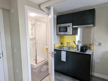 Habitación privada en 25 Roseangle, Dundee, DD1 4LS, imagen 29 de 32