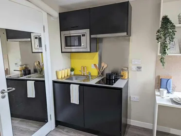 Chambre privée à 25 Roseangle, Dundee, DD1 4LS, image 30 de 32