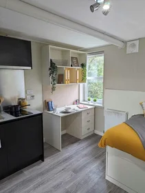 Chambre privée à 25 Roseangle, Dundee, DD1 4LS, image 31 de 32