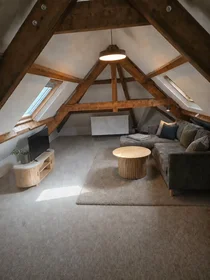 私人房间 在 Vermeerstraat, Schilderswijk, 10的图像3