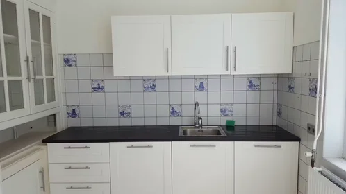 私人房间 在 Vermeerstraat, Schilderswijk, 10的图像5