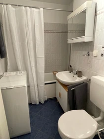 Apartamento entero totalmente amueblado  en Ludwigshafen-am-rhein