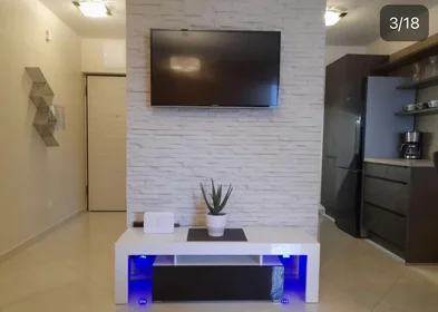 Entire apartment at Pujanke ulica 28, image 3 of 18