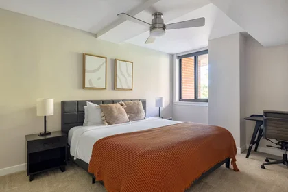 Appartamento intero in N St NW, Logan Circle/Shaw, immagine 7 di 10