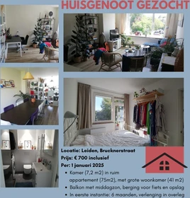 Alquiler de habitación en piso compartido en Leiden