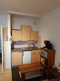 Apartamento entero totalmente amueblado  en Linz