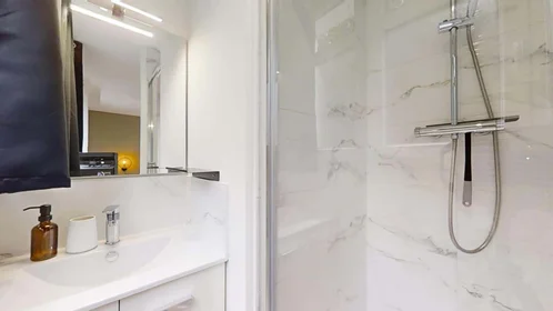 Privatzimmer in der 2 Bd Raymond Poincaré, 35700 Rennes, France, bild 4 von 24