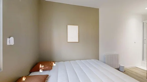 Privatzimmer in der 2 Bd Raymond Poincaré, 35700 Rennes, France, bild 4 von 23