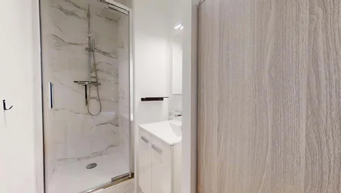 Privatzimmer in der 2 Bd Raymond Poincaré, 35700 Rennes, France, bild 7 von 23