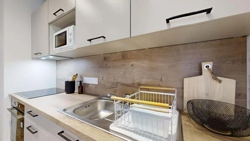 Stanza privata in 2 Bd Raymond Poincaré, 35700 Rennes, France, immagine 13 di 22