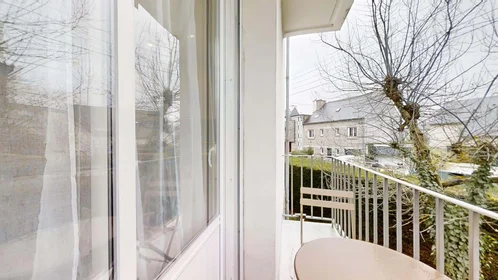 Stanza privata in 2 Bd Raymond Poincaré, 35700 Rennes, France, immagine 21 di 22