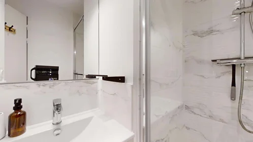 Stanza privata in 2 Bd Raymond Poincaré, 35700 Rennes, France, immagine 7 di 22