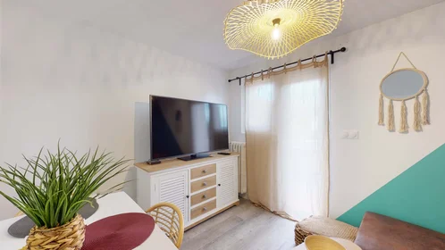 Stanza privata in 3 Rue du Midi, 31400 Toulouse, France, immagine 12 di 17