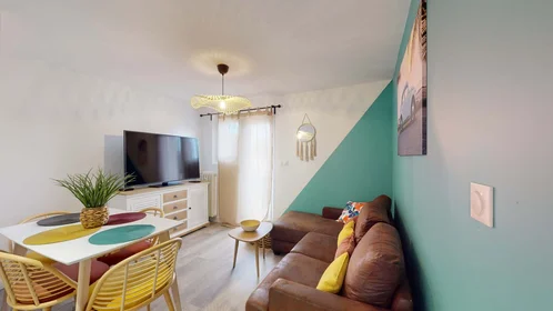 Stanza privata in 3 Rue du Midi, 31400 Toulouse, France, immagine 13 di 17