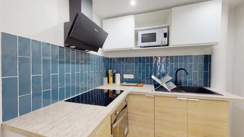 Stanza privata in 3 Rue du Midi, 31400 Toulouse, France, immagine 14 di 17