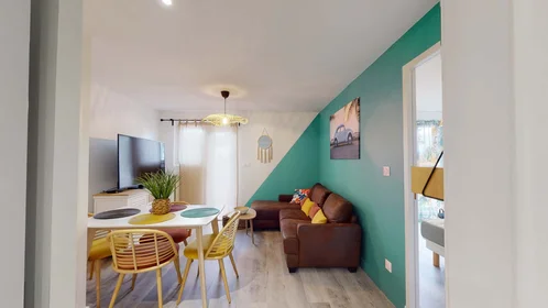 Stanza privata in 3 Rue du Midi, 31400 Toulouse, France, immagine 16 di 17
