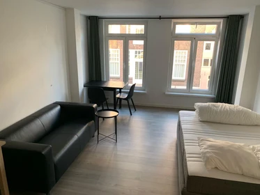 Accommodation with 3 bedrooms in Amsterdam