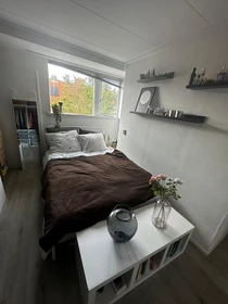 Alquiler de habitaciones por meses en Leeuwarden