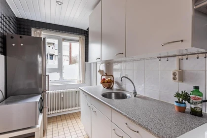 Alquiler de habitación en piso compartido en Enschede