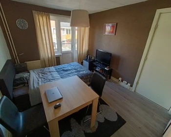 Chambre à louer dans un appartement en colocation à Utrecht