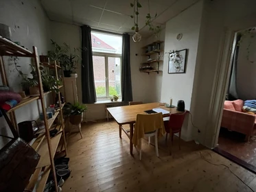 Chambre à louer avec lit double Nijmegen